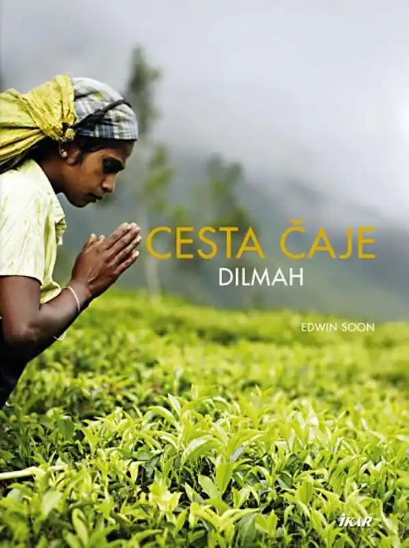 Cesta čaje Dilmah Zlevněný