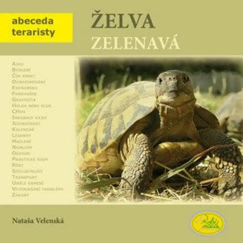 Nejprodávanější Želva zelenavá