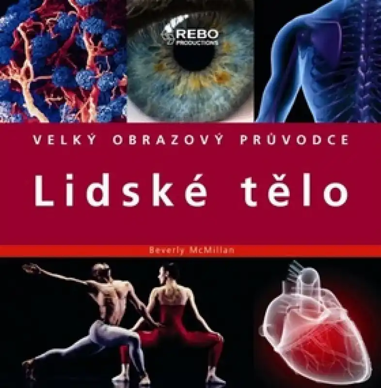 Levný Lidské tělo
