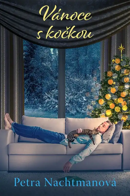 Top Prodej Vánoce s kočkou
