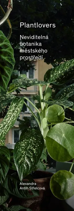 Nová Kolekce Plantlovers. Neviditelná botanika městského prostředí