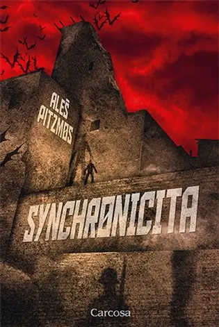 Synchronicita Speciální Cena