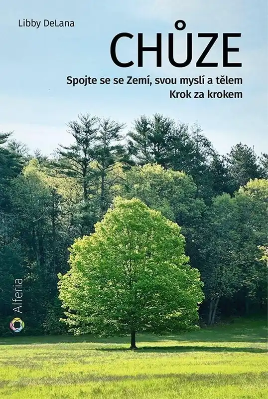 Cenová Bomba Chůze
