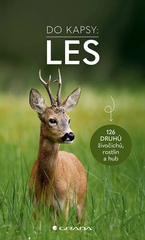 Do kapsy: Les Originální