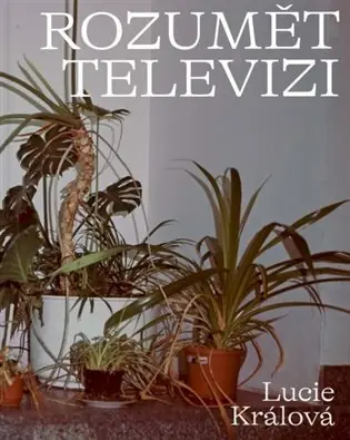 Super Cena Rozumět televizi
