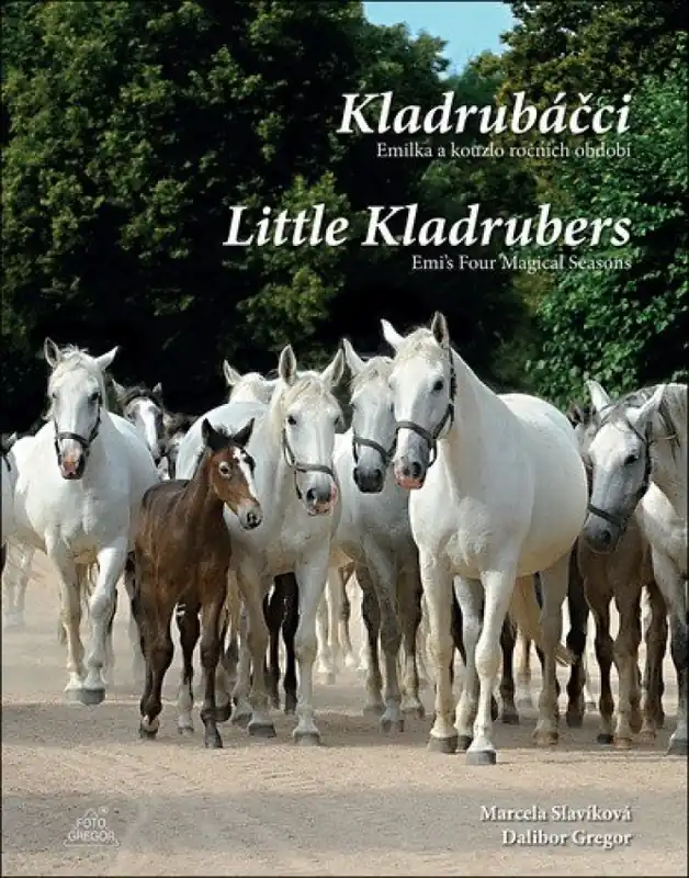 Kladrubáčci : Emilka a kouzlo ročních období = Little Kladrubers : Emi's four magical seasons Nakupujte Hned