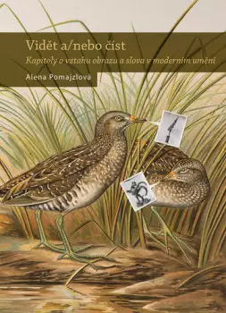 Expresní Doručení Vidět a/nebo číst : kapitoly o vztahu obrazu a slova v moderním umění