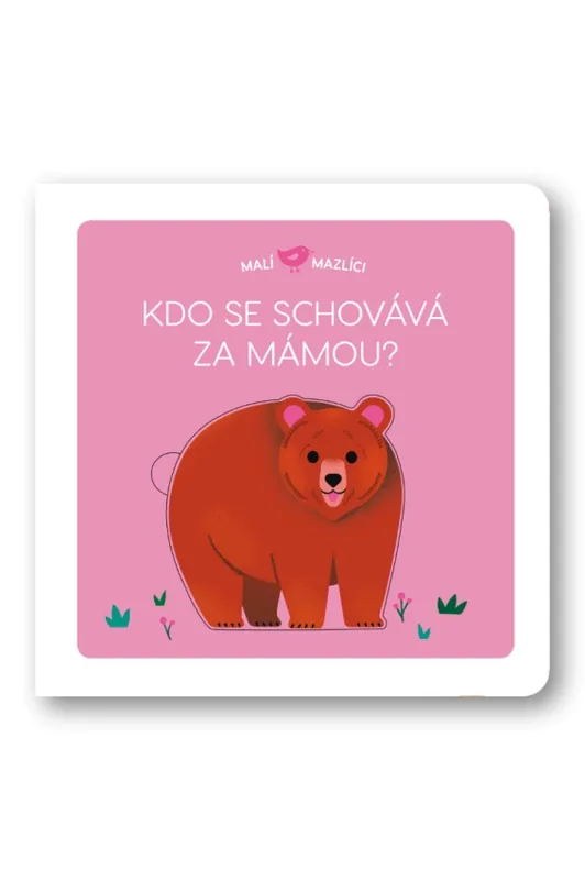 Expresní Doručení Kdo se schovává za mámou?
