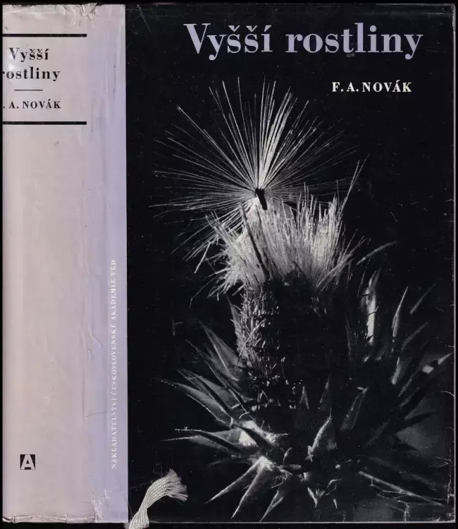 Cenová Bomba Vyšší rostliny : Tracheophyta