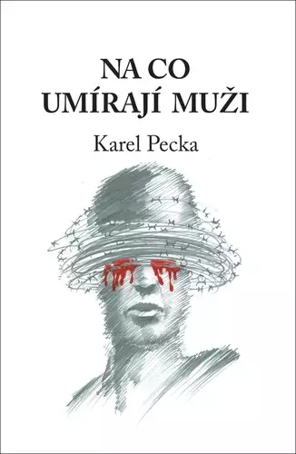 Nejlepší Cena Na co umírají muži
