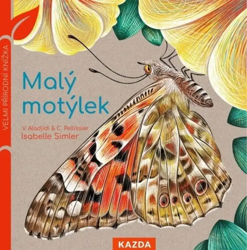 Malý motýlek Výprodej
