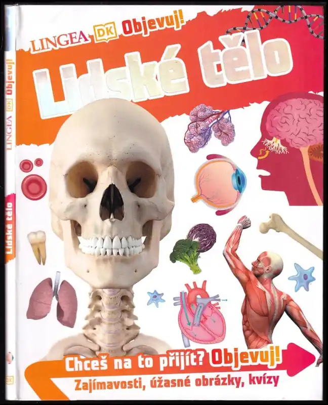 Časově Omezené Objevuj! : Lidské tělo