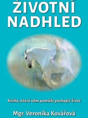 Sleva Životní nadhled          : kniha, která Vám pomůže pochopit život