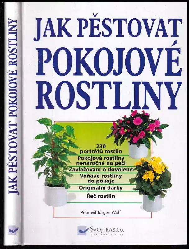 Poslední Šance Jak pěstovat pokojové rostliny