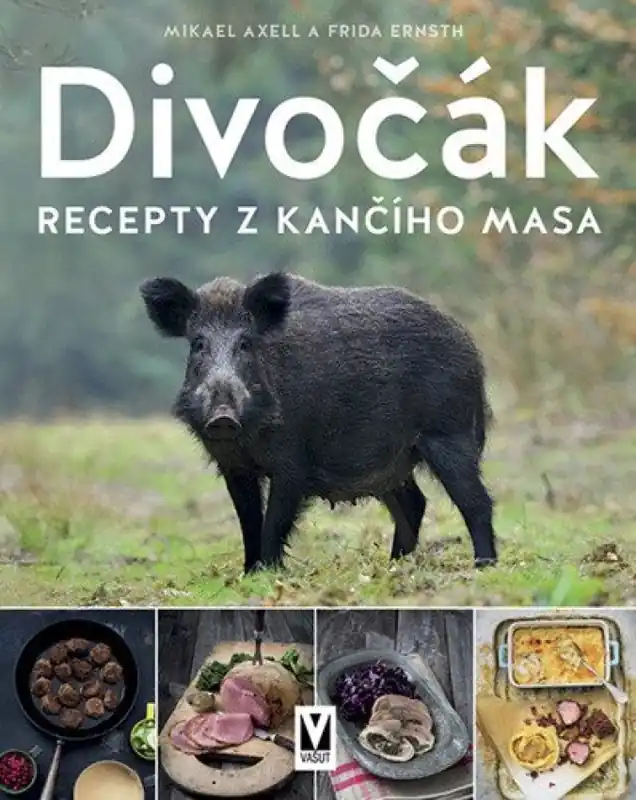 Divočák : recepty z kančího masa Novinka