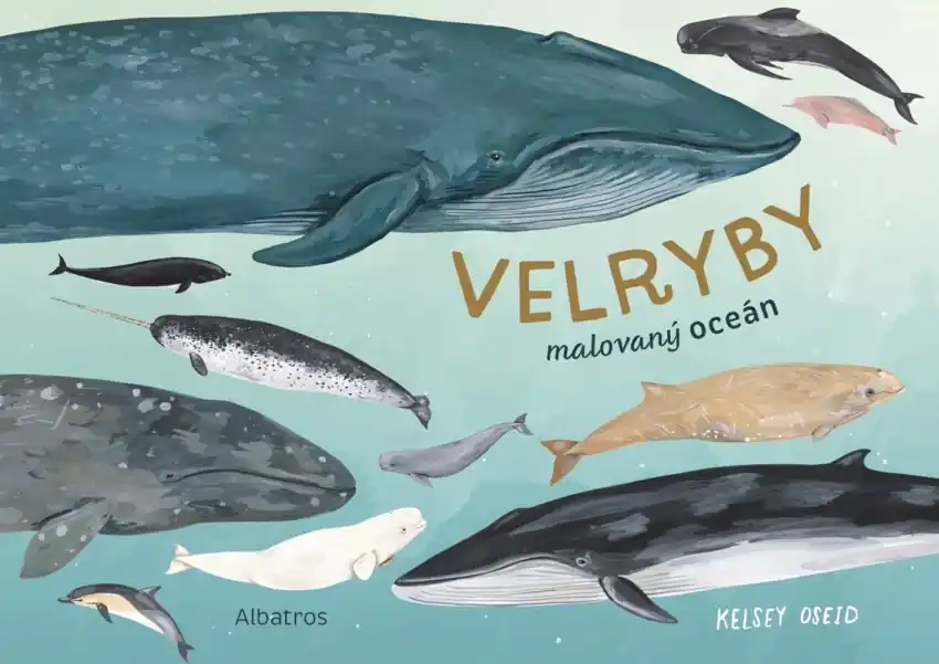 Jen Po Omezenou Doba Velryby : malovaný oceán