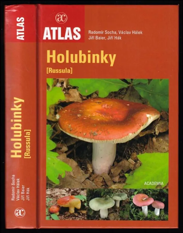 Akční Cena Holubinky : (Russula)